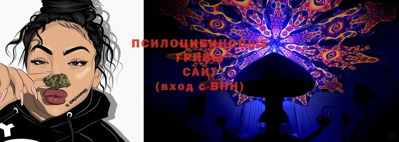 Псилоцибиновые грибы MAGIC MUSHROOMS  наркота  Трубчевск 